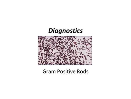 Diagnostics Gram Positive Rods. Classification Gram positive rods Spore formers Aerobes & facultative aerobes BacillusStrict anaerobesClostridium Non.