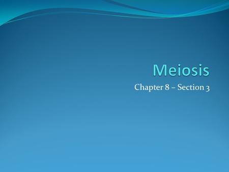 Chapter 8 – Section 3. Bell Work What would children be like if humans reproduced using the process of mitosis? List some reasons why it is good for a.