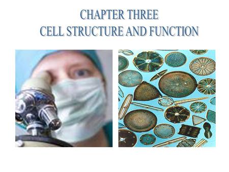 _____________ HOOKE The first to ____________ cells. Responsible for ____________ them _____________ LEEUWENHOEK SCHLEIDENSCHWANNVIRCHOW Made better.