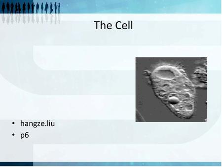 The Cell hangze.liu p6. The Cell The cell is one of the most basic units of life. There are millions of different types of cells. There are cells that.