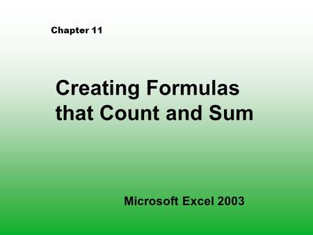 Chapter 11 Creating Formulas that Count and Sum Microsoft Excel 2003.