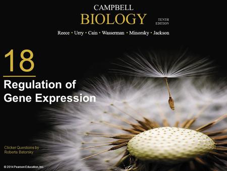 Regulation of Gene Expression