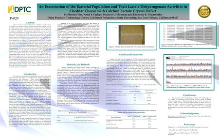 An Examination of the Bacterial Population and Their Lactate Dehydrogenase Activities in Cheddar Cheese with Calcium Lactate Crystal Defect By: Boorus.