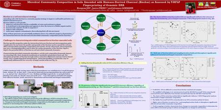 Cornell University 2009 ASA-CSSA-SSSA Meetings High C/N ratio Refugia pH & aeration Physico- chemical sorption Surface change Microbes Nutrients Amending.