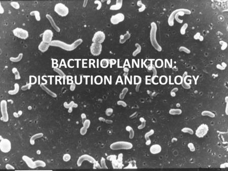 BACTERIOPLANKTON: DISTRIBUTION AND ECOLOGY. Role of bacteria in the carbon cycle.