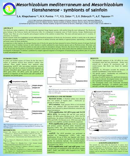 Mesorhizobium mediterraneum and Mesorhizobium tianshanense – symbionts of sainfoin S.A. Khapchaeva (1), N.V. Punina (1,2), V.S. Zotov (1), S.V. Didovych.