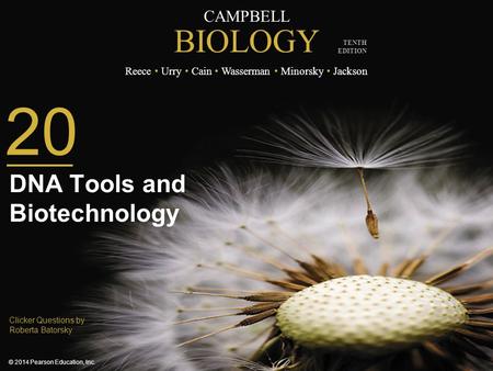 DNA Tools and Biotechnology