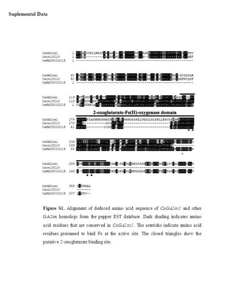 Suplemental Data Figure S1. Alignment of deduced amino acid sequence of CaGA2ox1 and other GA2ox homologs from the pepper EST database. Dark shading indicates.