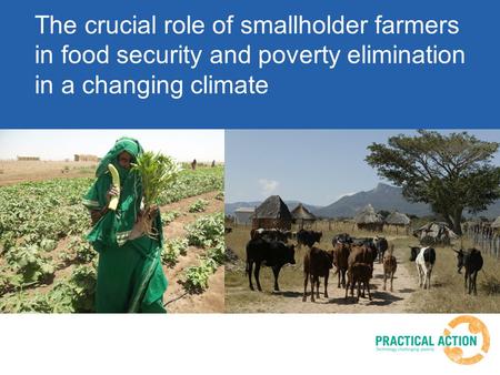 The crucial role of smallholder farmers in food security and poverty elimination in a changing climate.