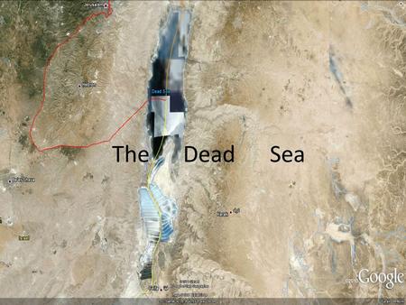 The Dead Sea. Location/Formation Located between Jordan, The West Bank, and Israel. Just outside of the traditional tropics, between 30.5 and 31.5 degrees.