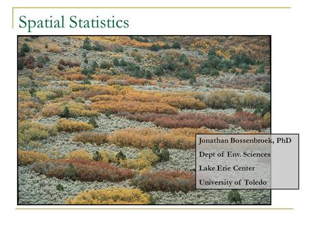 Spatial Statistics Jonathan Bossenbroek, PhD Dept of Env. Sciences Lake Erie Center University of Toledo.