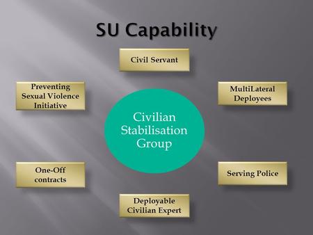 Civil Servant Deployable Civilian Expert Serving Police Preventing Sexual Violence Initiative MultiLateral Deployees One-Off contracts.