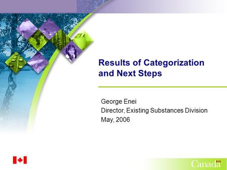 Results of Categorization and Next Steps George Enei Director, Existing Substances Division May, 2006.