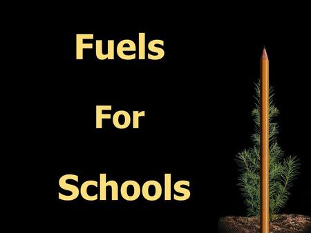 Fuels For Schools. II. Our Partnership I. Heating Schools With Wood 2 Main Topics: