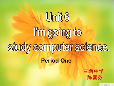 Period One 三角中学 陈喜芬. A. an engineer B. a stunt actor 特技演员 C. a computer programmer 电脑程序员 D. a professional 职业的 basketball player E. a pilot 飞行员 F. a fortuneteller.