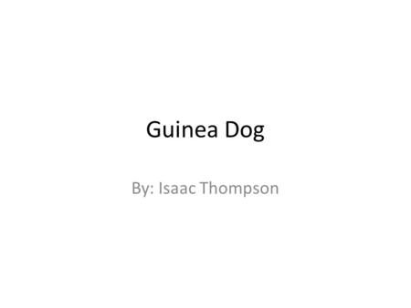 Guinea Dog By: Isaac Thompson. Summary This book is about a boy named Rufus who’s desire is to have a dog. Unfortunately his mom wants him to think outside.