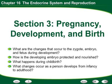 Section 3: Pregnancy, Development, and Birth