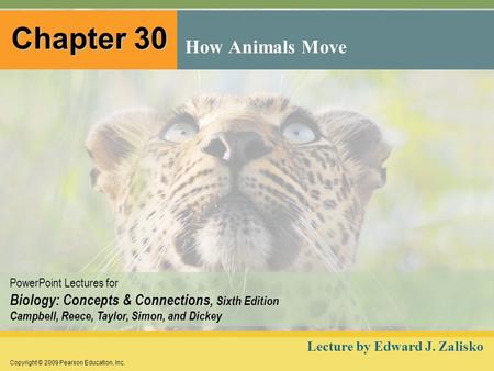 Copyright © 2009 Pearson Education, Inc. PowerPoint Lectures for Biology: Concepts & Connections, Sixth Edition Campbell, Reece, Taylor, Simon, and Dickey.