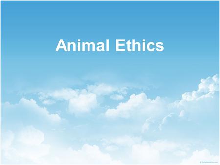 Animal Ethics.