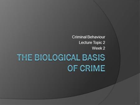 Criminal Behaviour Lecture Topic 2 Week 2 1. Lecture Objectives At the end of this lecture you should be able to: Describe biological factors Evaluate.