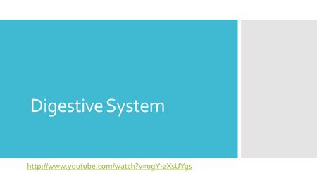 Digestive System http://www.youtube.com/watch?v=0gY-zXsUYgs.