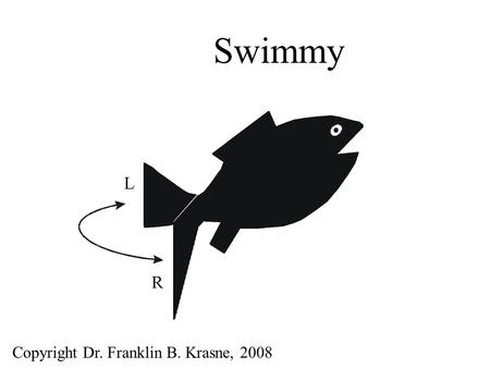 Swimmy Copyright Dr. Franklin B. Krasne, 2008 Advantages of Swimmy 1)Very faithful simulation of neural activity 2)Flawless electrode placement. 3)No.