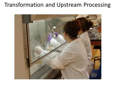 Transformation and Upstream Processing. DNA is the flash Protein is the cash The natural history of a commercial protein.