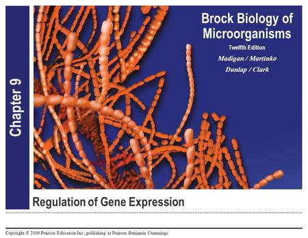 Copyright © 2009 Pearson Education Inc., publishing as Pearson Benjamin Cummings Brock Biology of Microorganisms Twelfth Edition Madigan / Martinko Dunlap.