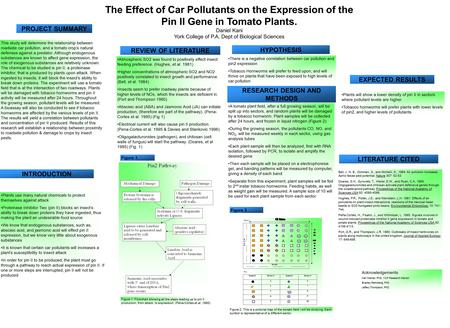 PROJECT SUMMARY This study will determine the relationship between roadside car pollution, and a tomato crop’s natural defenses against a predator. Although.