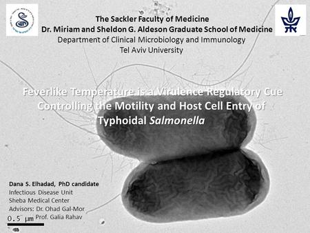 The Sackler Faculty of Medicine