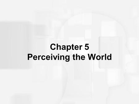 Chapter 5 Perceiving the World