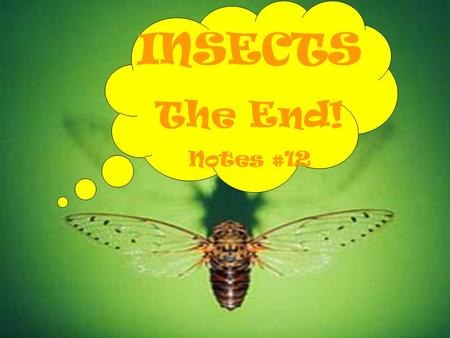 INSECTS The End! Notes #12. INSECT BENEFITS Predators and Parasites Decomposers and Recyclers Weed Control Pollination Useful Products Food for Animals.