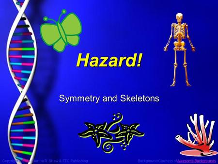 Copyright © 2004 Glenna R. Shaw & FTC Publishing Background Courtesy of Awesome BackgroundsAwesome Backgrounds Slide 1 Hazard! Symmetry and Skeletons.