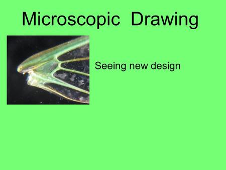 Microscopic Drawing Seeing new design. Why draw using a microscope? Artists have the unique ability to focus on desired details and exclude unwanted information.