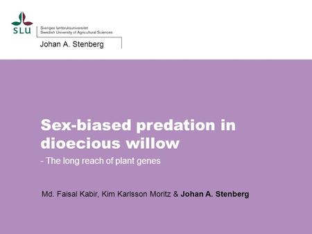 Sex-biased predation in dioecious willow - The long reach of plant genes Johan A. Stenberg Md. Faisal Kabir, Kim Karlsson Moritz & Johan A. Stenberg.