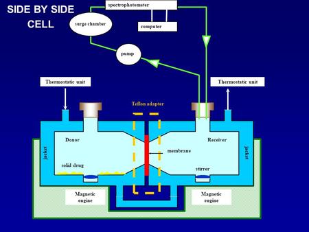 SIDE BY SIDE CELL Magnetic engine DonorReceiver Teflon adapter solid drug membrane stirrer Thermostatic unit jacket pump surge chamber spectrophotometer.