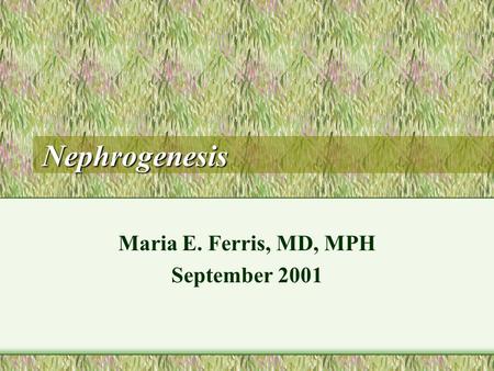 Nephrogenesis Maria E. Ferris, MD, MPH September 2001.