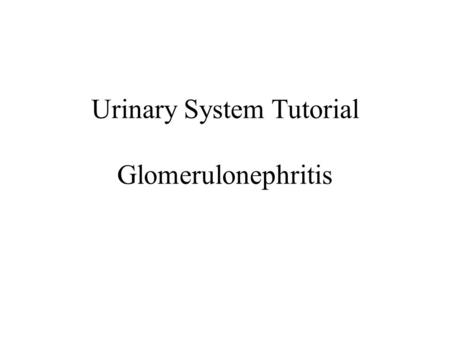 Urinary System Tutorial Glomerulonephritis