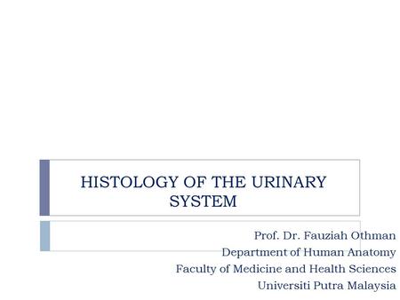 HISTOLOGY OF THE URINARY SYSTEM