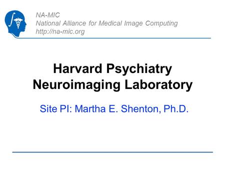 NA-MIC National Alliance for Medical Image Computing  Harvard Psychiatry Neuroimaging Laboratory Site PI: Martha E. Shenton, Ph.D.