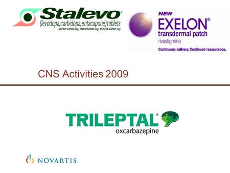 CNS Activities 2009. Exelon 2009 Brand Plan | Mircea Moraru | July 2008 Sumar Activitati 2009.