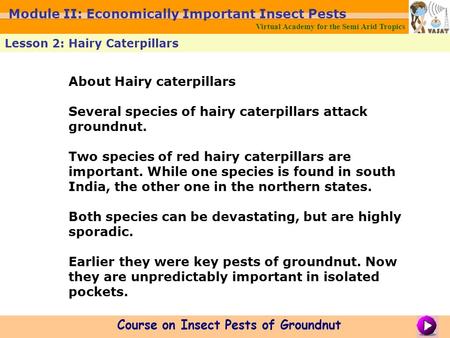 Module II: Economically Important Insect Pests