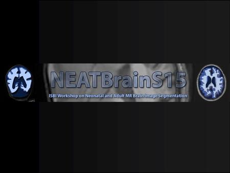 Panel Discussion Part I Methodology Ideas from adult MR brain segmentation are used in neonatal MR brain segmentation. However, additional challenges.