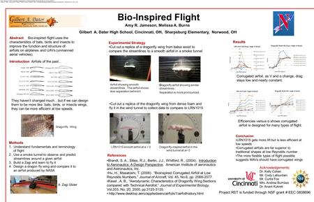 Bio-Inspired Flight Abstract Bio-inspired flight uses the characteristics of bats, birds and insects to improve the function and structure of airfoils.