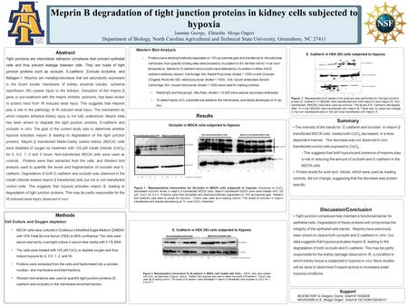 Abstract Tight junctions are intercellular adhesion complexes that connect epithelial cells and thus prevent leakage between cells. They are made of tight.