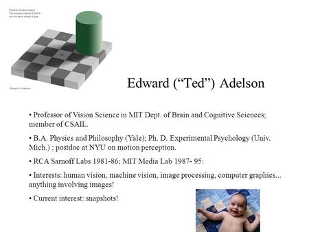 Edward (“Ted”) Adelson Professor of Vision Science in MIT Dept. of Brain and Cognitive Sciences; member of CSAIL. B.A. Physics and Philosophy (Yale); Ph.