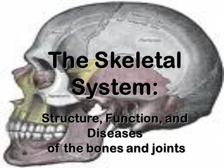 The Skeletal System: Structure, Function, and Diseases of the bones and joints of the bones and joints.