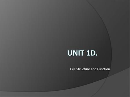 Cell Structure and Function. II. Two Types of Cells 1. Prokaryotes i. NO NUCLEUS- DNA is floating freely inside cell! ii. Smallest cells / unicellular.