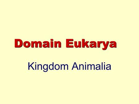 Domain Eukarya Kingdom Animalia. Coelom? Body cavity - space between digestive tract wall and body wall, surrounded by mesoderm cells, location of organs.