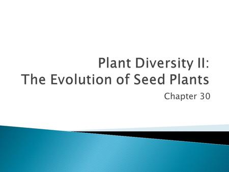 Plant Diversity II: The Evolution of Seed Plants